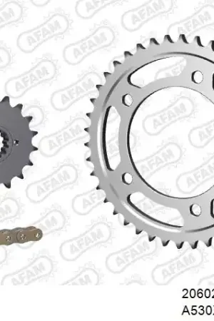 Nu Kopen AFAM - 530XHR2 116 MRS (RIVET) GOLD & SPROCKETS - Chain Kits - STEEL