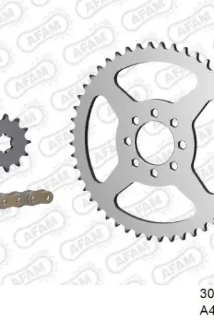 Seizoensaanbieding AFAM - 420R1 120 AR (CLIP) GOLD & SPROCKETS - STEEL