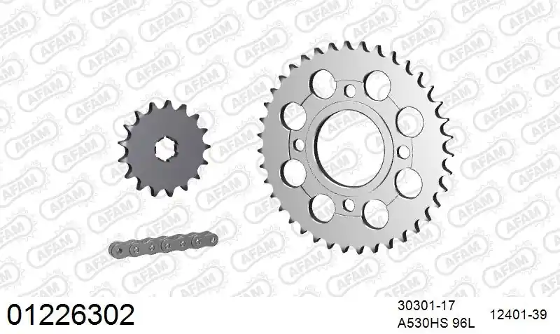 Exclusief AFAM - 530HS 96 AR (CLIP) & SPROCKETS - Chain Kits - STEEL