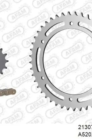 AFAM - 520XRR3 106 ARS (CLIP) GOLD & SPROCKETS - STEEL Laatste Kans