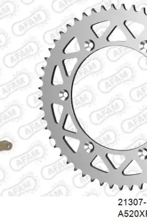 AFAM - 520XRR3 110 ARS (CLIP) GOLD & SPROCKETS - Chain Kits - ALU Koopje