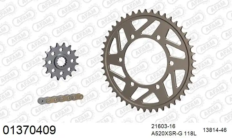 Ambachtelijk AFAM - 520XSR 118 MRS - Chain Kits - GOLD & SPROCKETS