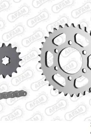 Rechtstreeks Van De Fabrikant AFAM - 530HS 110 AR (CLIP) & SPROCKETS - Chain Kits - STEEL
