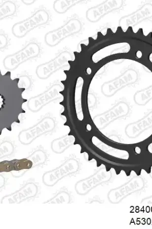 AFAM - 530XSR2 110 MRS (RIVET) GOLD & SPROCKETS - STEEL Superprijs