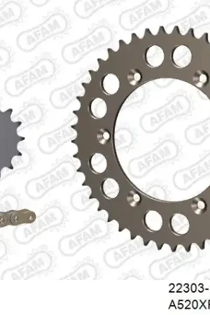 Origineel AFAM - 520XRR3 110 ARS (CLIP) GOLD & SPROCKETS - Chain Kits - ALU