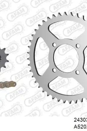 AFAM - 520XRR3 100 ARS (CLIP) GOLD & SPROCKETS - STEEL Plaats Bestelling