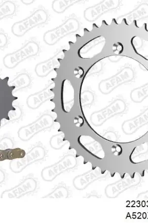 Must-Have AFAM - 520XRR3 112 ARS (CLIP) GOLD & SPROCKETS - STEEL