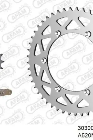 Bestel Nu AFAM - 520XRR3 110 ARS (CLIP) GOLD & SPROCKETS - Chain Kits - ALU