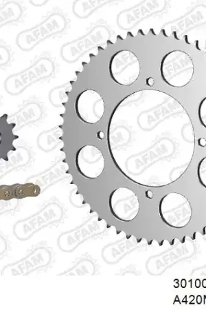 AFAM - 420MX2 124 AR - Chain Kits - GOLD & SPROCKETS Beperkte Voorraad