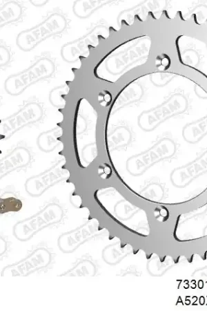 Betrouwbaar AFAM - 520XRR3 114 ARS (CLIP) GOLD & SPROCKETS - STEEL