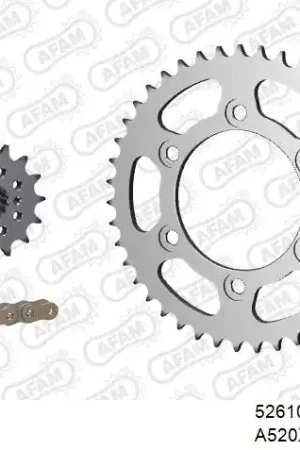 Bestel Nu AFAM - 520XHR2 102 MRS (RIVET) GOLD & SPROCKETS - STEEL