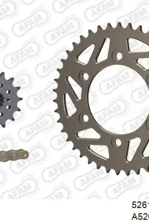 Korting AFAM - 520XSR 102 MRS - Chain Kits - Gold & Sprockets