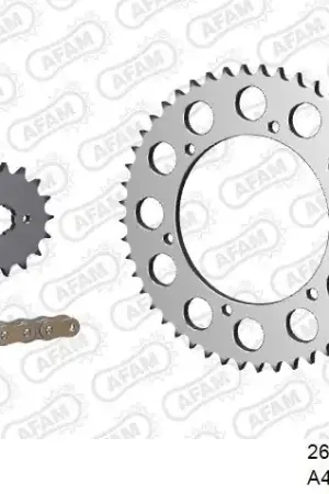 Direct Beschikbaar AFAM - 428R1 134 AR (CLIP) GOLD & SPROCKETS - STEEL