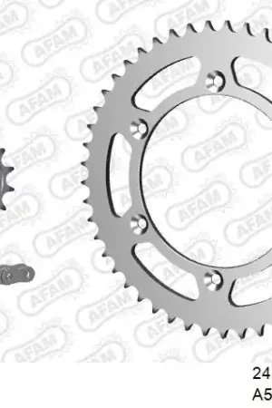 Koop Online AFAM - 520XRR3 114 ARS (CLIP) GOLD & SPROCKETS - STEEL