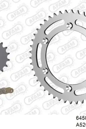 Handgemaakt AFAM - 520XRR3 114 ARS (CLIP) GOLD & SPROCKETS - STEEL