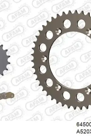 AFAM - 520XRR3 114 ARS (CLIP) GOLD & SPROCKETS - ALU Laatste Kans