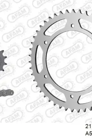 Flitsaanbieding AFAM - 520XRR3 112 ARS (CLIP) GOLD & SPROCKETS - STEEL