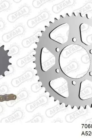Geld-Terug-Garantie AFAM - 520XSR 110 MRS - Chain Kits - GOLD & SPROCKETS