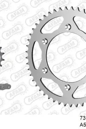 AFAM - 520XRR3 116 ARS (CLIP) GOLD & SPROCKETS - STEEL Gratis Retour