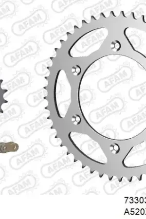 AFAM - 520XRR3 116 ARS (CLIP) GOLD & SPROCKETS - STEEL Korting