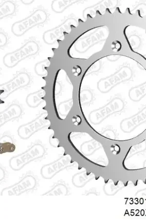 Direct Beschikbaar AFAM - 520XRR3 114 ARS (CLIP) GOLD & SPROCKETS - STEEL