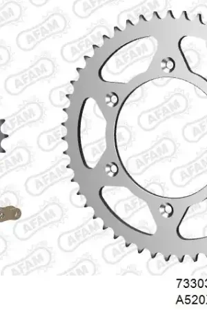 Nieuw Model AFAM - 520XRR3 114 ARS (CLIP) GOLD & SPROCKETS - Chain Kits - STEEL