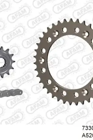 Garantie Inbegrepen AFAM - 520XLR2 106 ARS (CLIP) & SPROCKETS - Chain Kits - ALU