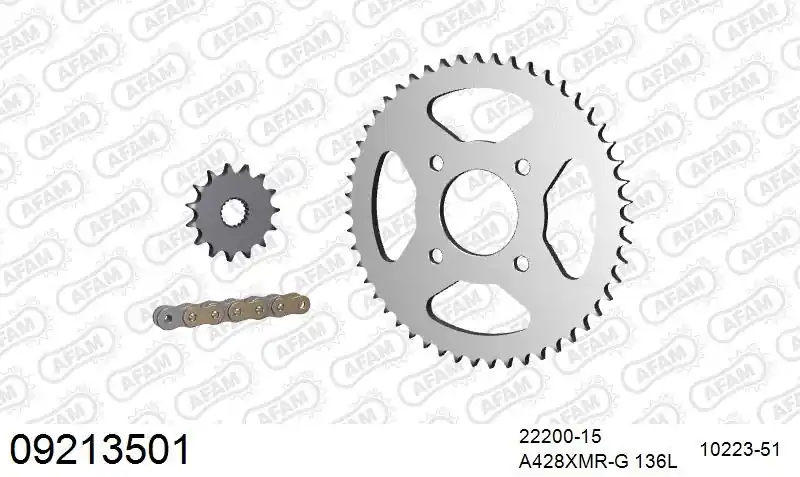 Budget AFAM - 428XMR2 136 AR (CLIP) GOLD & SPROCKETS - Chain Kits - Geschikt voor verschillende voertuigen