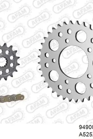Nieuw Model AFAM - 525XHR3 110 MRS (RIVET) GOLD & SPROCKETS - Chain Kits - STEEL