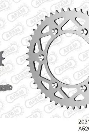 AFAM - 520XRR3 114 ARS (CLIP) GOLD & SPROCKETS - ALU Veilige Betaling