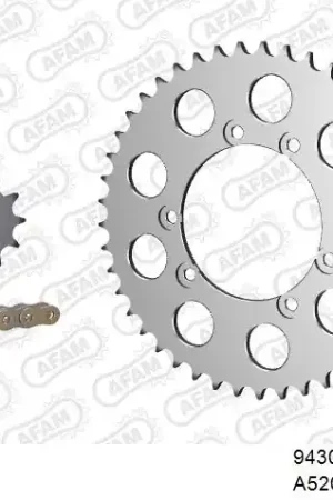 Exclusief AFAM - 520MR2 102 ARS (CLIP) GOLD & SPROCKETS - ALU