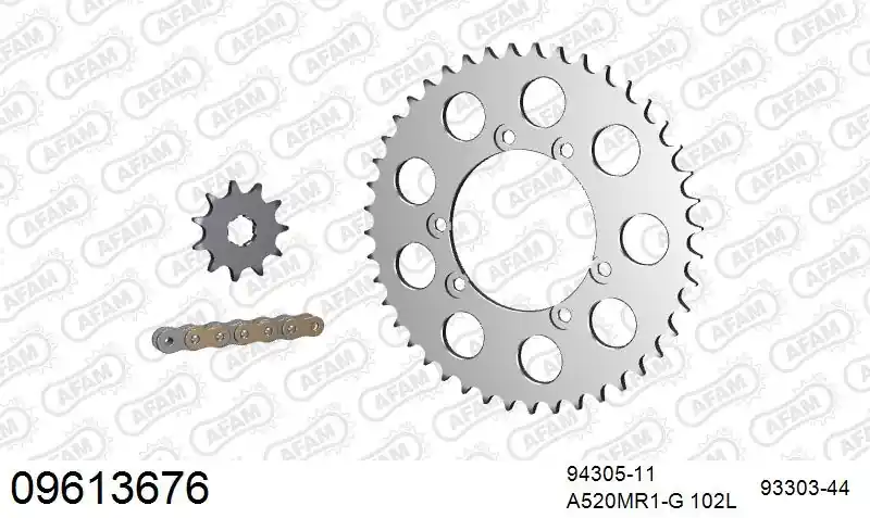 Exclusief AFAM - 520MR2 102 ARS (CLIP) GOLD & SPROCKETS - ALU