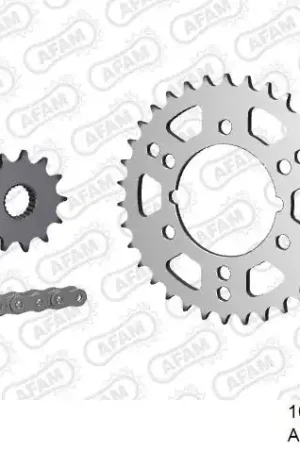 Koop Vandaag AFAM - 520XRR3 84 ARS (CLIP) GOLD & SPROCKETS - STEEL