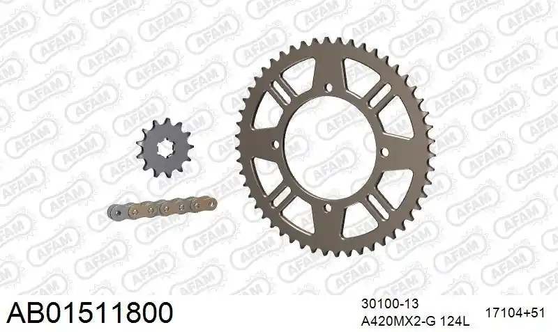 Bestel Nu AFAM - 420MX2 124 AR (CLIP) GOLD & SPROCKETS - Chain Kits - ALU