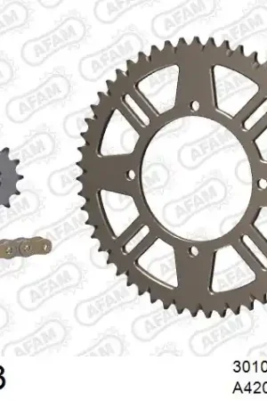 Beste Prijs AFAM - 420MX2 124 AR (CLIP) GOLD & SPROCKETS - Chain Kits - ALU