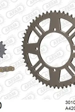 Beste Prijs AFAM - 420MX2 124 AR (CLIP) GOLD & SPROCKETS - Chain Kits - ALU