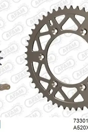 AFAM - 520XRR3 114 ARS (CLIP) GOLD & SPROCKETS - ALU Authentiek