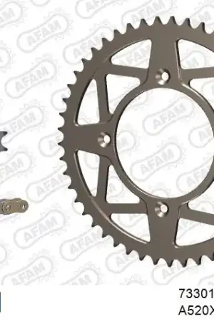 Geld-Terug-Garantie AFAM - 520XRR3 110 ARS (CLIP) GOLD & SPROCKETS - Chain Kits - ALU
