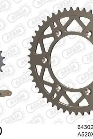 Nu Kopen AFAM - 520XRR3 116 ARS (CLIP) GOLD & SPROCKETS - Chain Kits - ALU