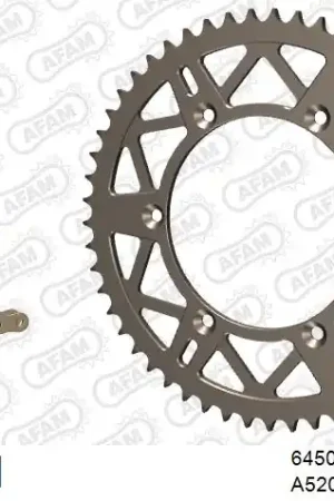 Professioneel AFAM - 520XRR3 118 ARS (CLIP) GOLD & SPROCKETS - ALU