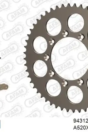 AFAM - 520XRR3 116 ARS (CLIP) GOLD & SPROCKETS - ALU Luxe