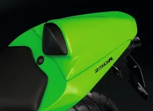 Kawasaki Enkel Zadel Beschermer Ninja250 Beperkt Aanbod