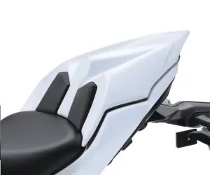 Exclusief Kawasaki Buddyseat Cover