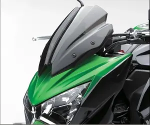 Kawasaki Smoke Windscherm Bestel Nu
