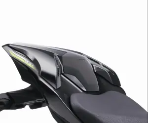 Kawasaki Buddyseat Cover Z900 Limited Edition