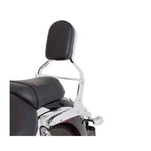 Favoriet Kawasaki Rugkussen Passagier