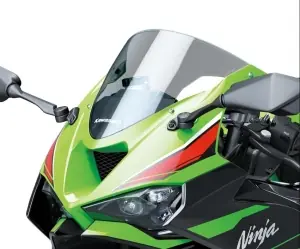 Kawasaki Kuipruit Smoke Exclusief