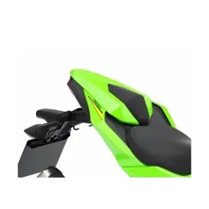 Populair Kawasaki Buddyseat Cover