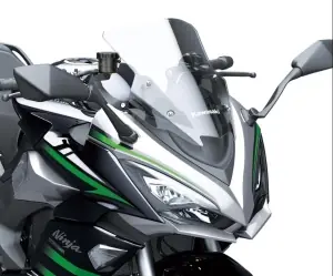 Kawasaki Windscherm Smoke Snelle Levering