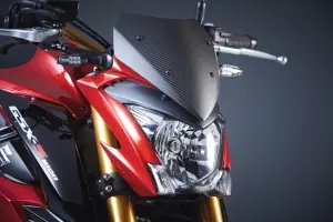 Limited Edition Carbon display cover GSX-S 100